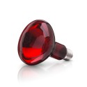 Bulb 100 Wat for BEURER IL 11 and SANITAS SIL 06